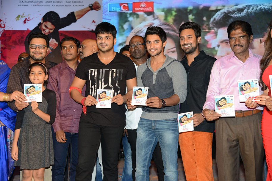 Pyaar-Mein-Padipoyane-Audio-Launch